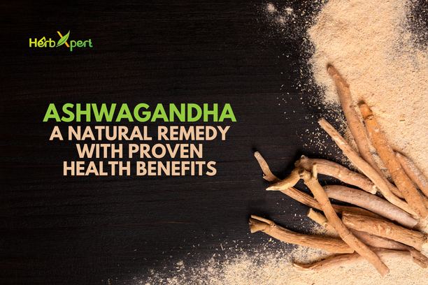 Ashwagandha: A Natural Remedy with Proven Health Benefits