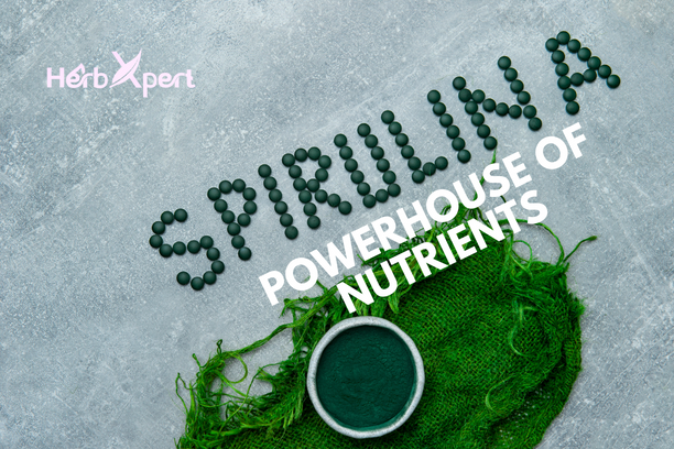 Spirulina: Powerhouse of Nutrients