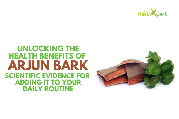 Unlocking the Health Benefits of Arjun Bark: A Scientific Look at the Importance of Adding Terminalia Arjuna to Your Daily Routine
